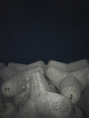 今年は太刀魚の当り年❗️