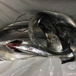 取れないアタリ多い。