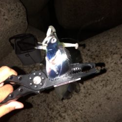 今年初のエギング&ワインド