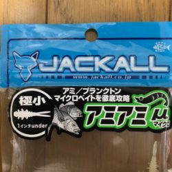 ナイトアジング目指すは尺あじ