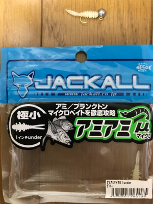 ナイトアジング目指すは尺あじ