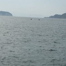 家族サービスの後に