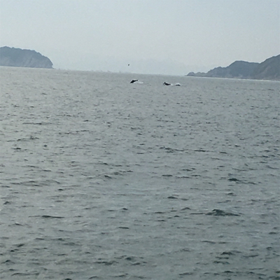 家族サービスの後に