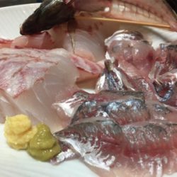 船外機付きボートで50cm級ニベ