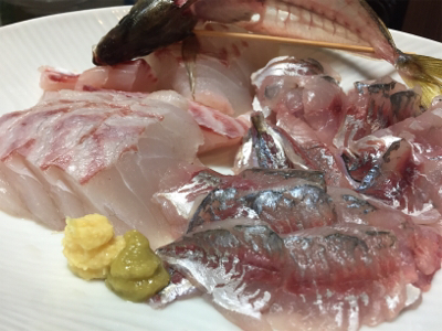 船外機付きボートで50cm級ニベ