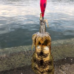 結果オーライ!楽しい現調となりました