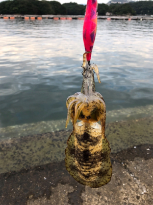 結果オーライ!楽しい現調となりました