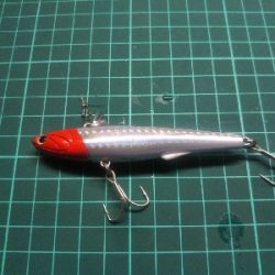 小雨の中の釣行