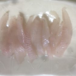 根魚の刺身を食べさせてあげたくて