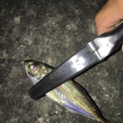 ライトアジング