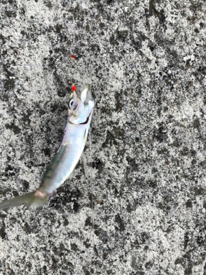 岩屋一文字ミラクル発生！？