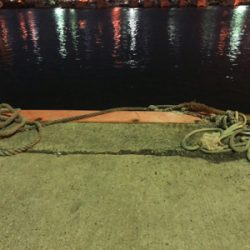 太刀魚を経てアジング