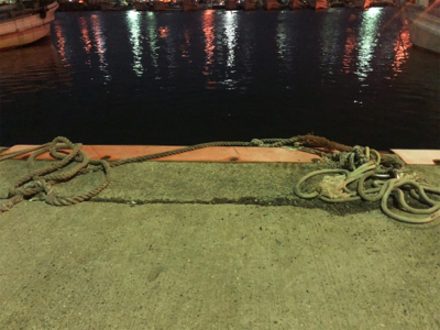 太刀魚を経てアジング