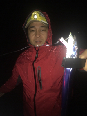 太刀魚ゲーム/サゴシ/朝アオリイカ☆