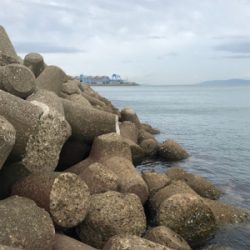 やっとアオリGET (^^)v