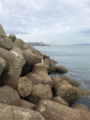 やっとアオリGET (^^)v