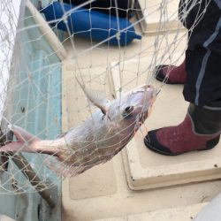 紀北オフショアゲーム