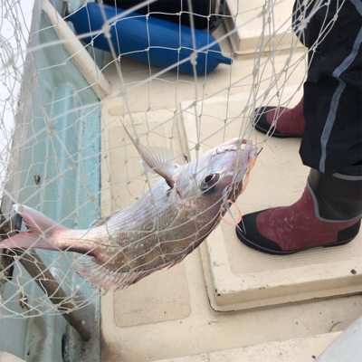 紀北オフショアゲーム