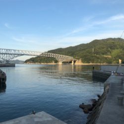 豊島・岡村島 アジング