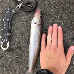 早朝ショアジギングで奇跡が