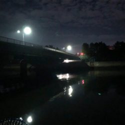 花見川シーバス、チヌ！！