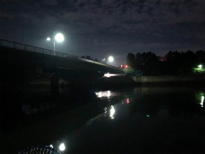 花見川シーバス、チヌ！！