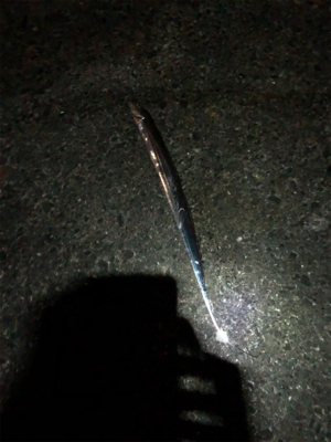 一年ぶりの食品コンビナート