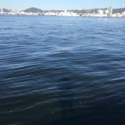 やっと釣れた_| ̄|○