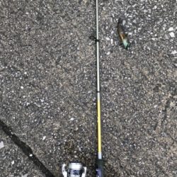 フェリー待ちの暇つぶしに