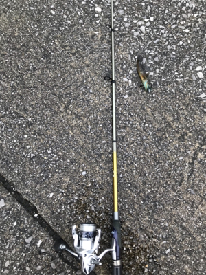 フェリー待ちの暇つぶしに