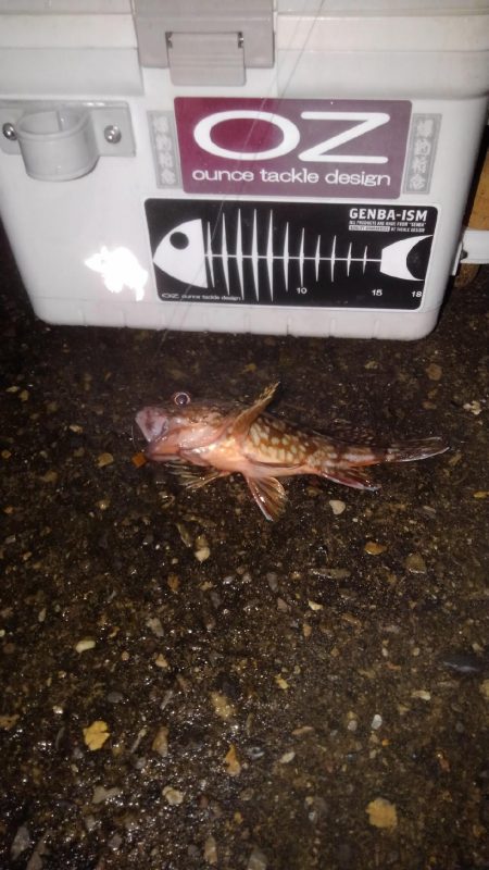 輪ゴムでポン‼️