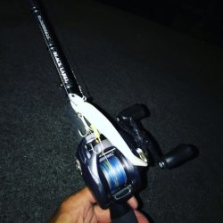 台風前また入れ食い