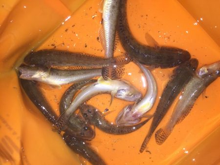 これからですねー！