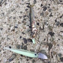 のんびり暇つぶし