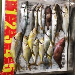 はじめての爆釣