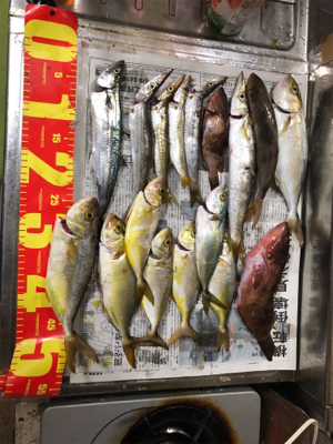 はじめての爆釣