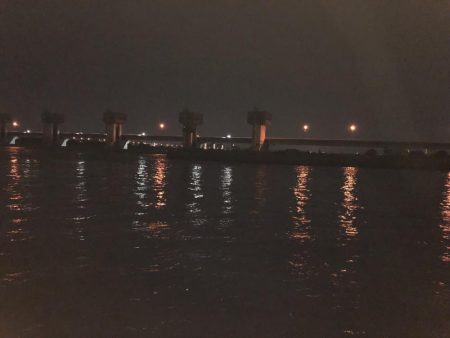 夜な夜なシーバス