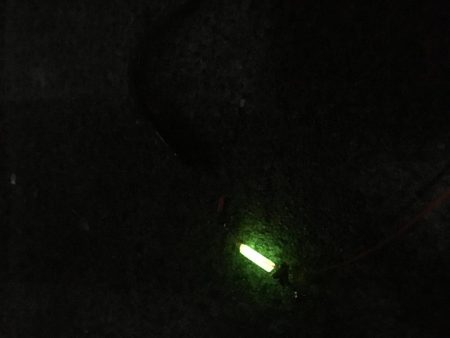 アナゴの数釣り