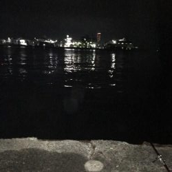 タチウオ入れ食い