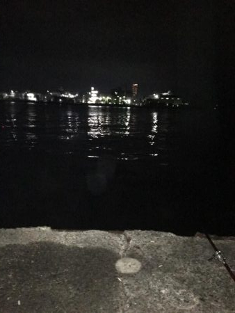 タチウオ入れ食い