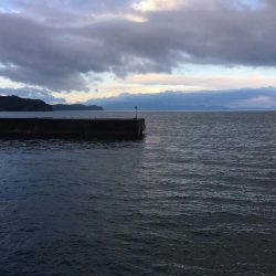 小島漁港タチウオ調査。魚影は濃いものの苦戦(＞＜)