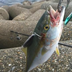 昨年は、釣れなかったのに！