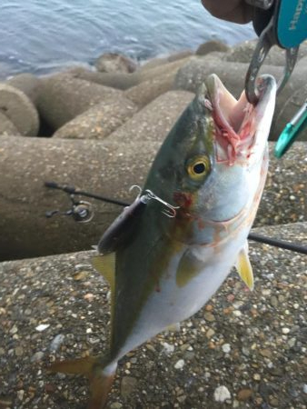 昨年は、釣れなかったのに！