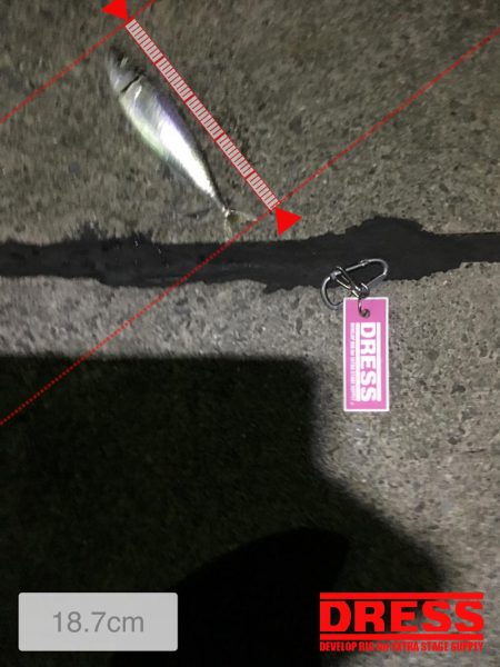 サバ、アジング