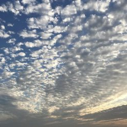 激渋の中、貴重な一本