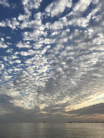 激渋の中、貴重な一本