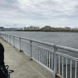 今年のサヨリは？