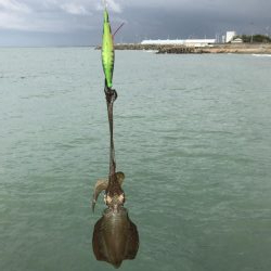 雨の中釣り三昧。