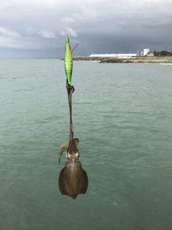 雨の中釣り三昧。