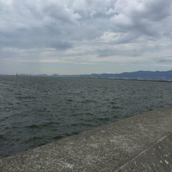 とにかくゲキシブ